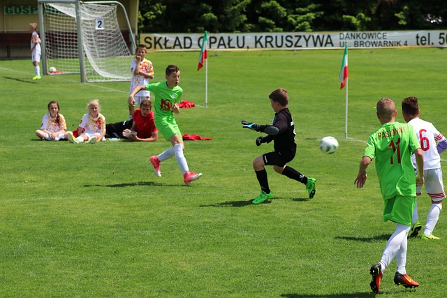 蒙德的经典 蒙德的经典