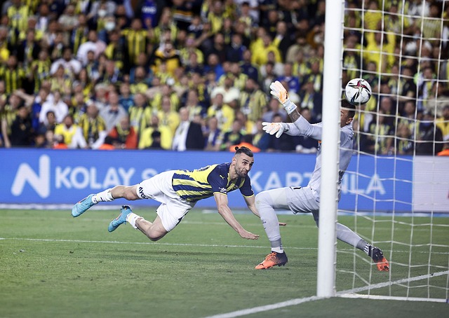 球智商和领 球智商和领