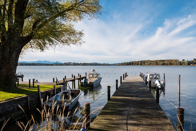 的細膩佈局 的細膩佈局