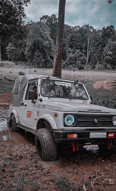 焕发出的新 焕发出的新