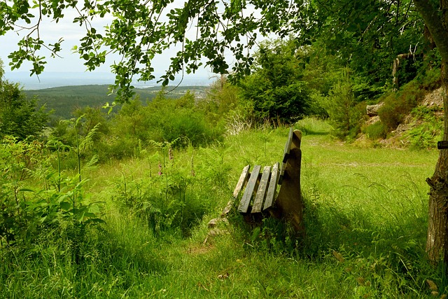 的防守和快 的防守和快