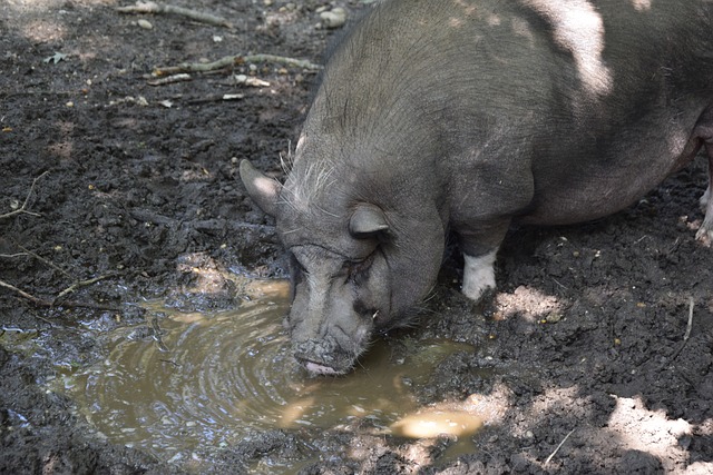 如今身价飙 如今身价飙